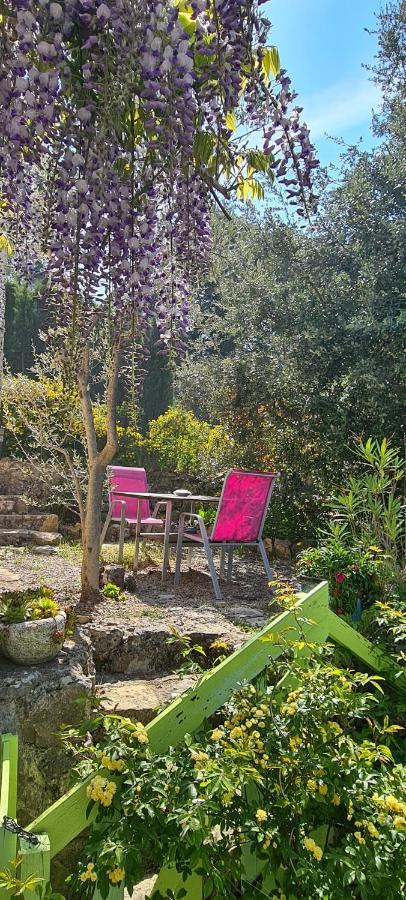 Studio De Charme + Terrasse : Verdon, Lac, Plages Claviers Exterior foto