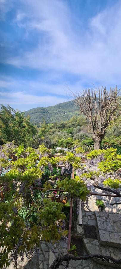 Studio De Charme + Terrasse : Verdon, Lac, Plages Claviers Exterior foto